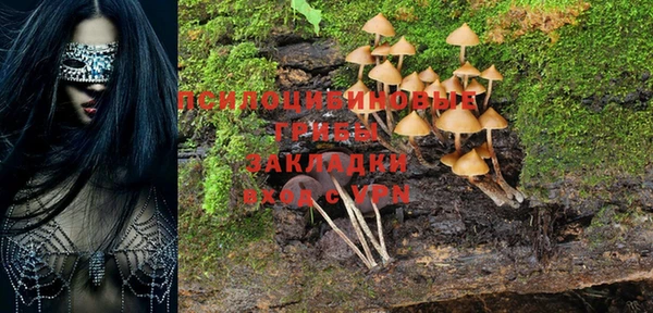 наркотики Дмитриев